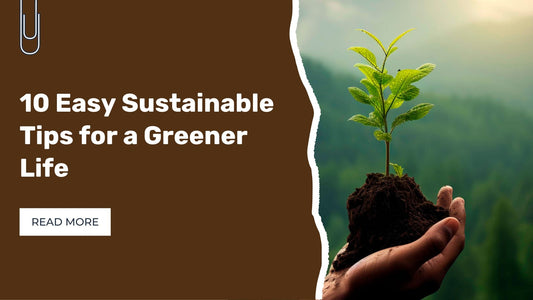 10 Easy Sustainable Tips for a Greener Life